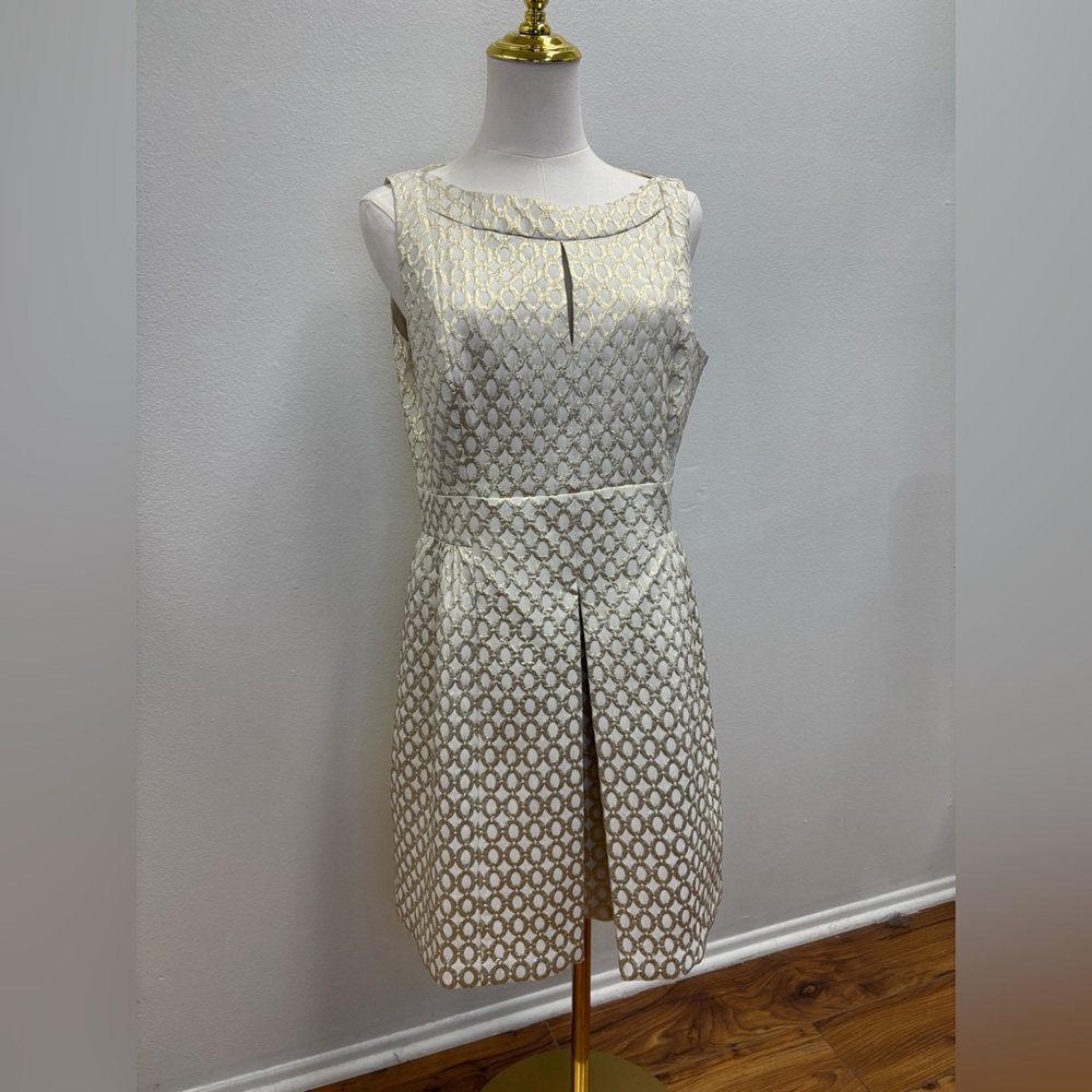 Lauren Ralph Lauren Dress (Size 12P)